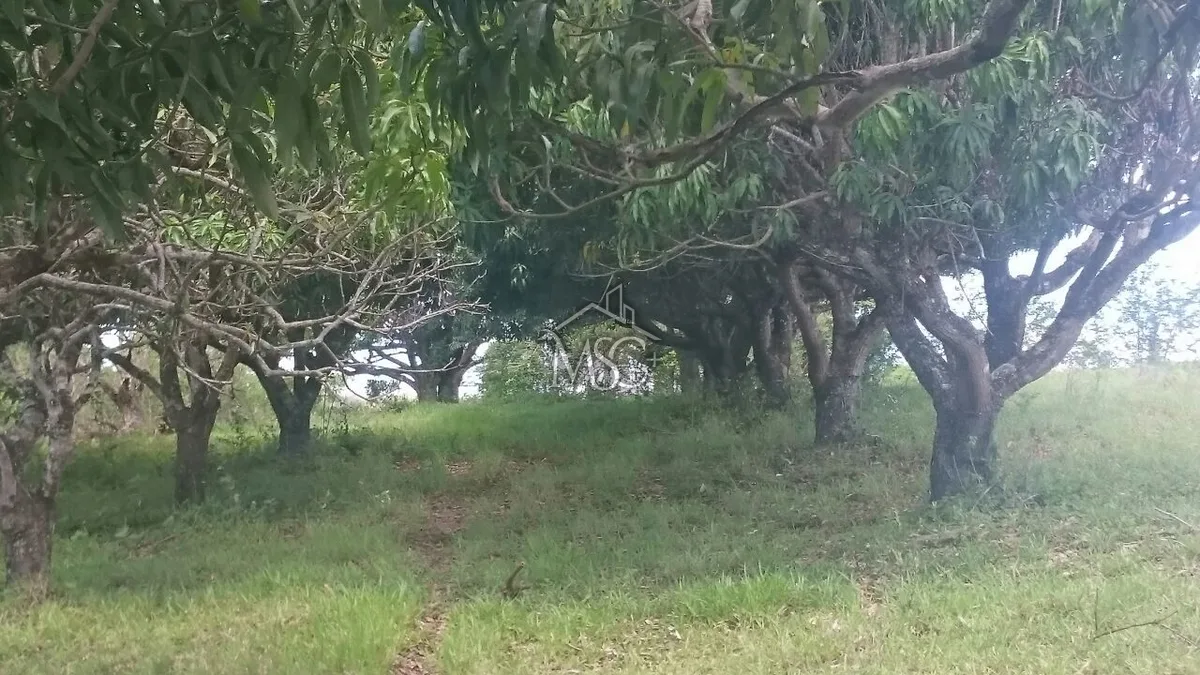 chacara Jardim Santa Rita de Cássia - Tatuí - foto 9