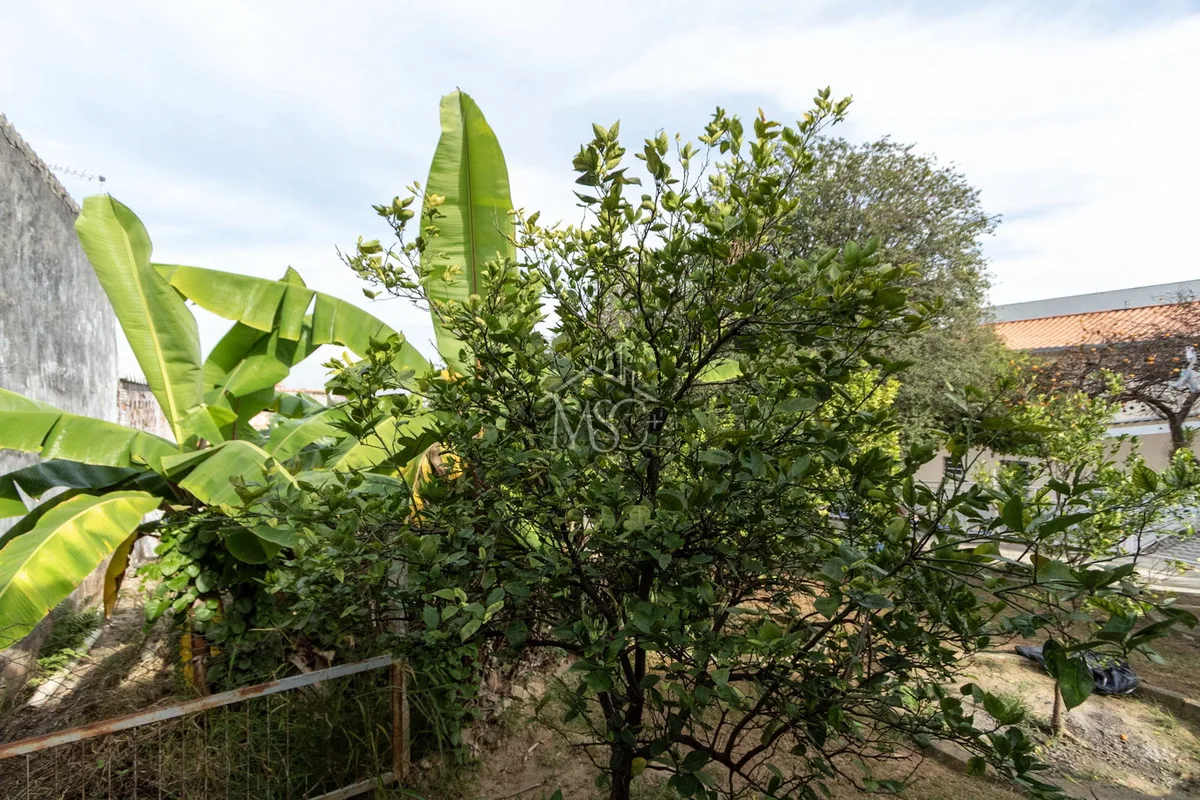 Terreno Vila Barão - Sorocaba - foto 4