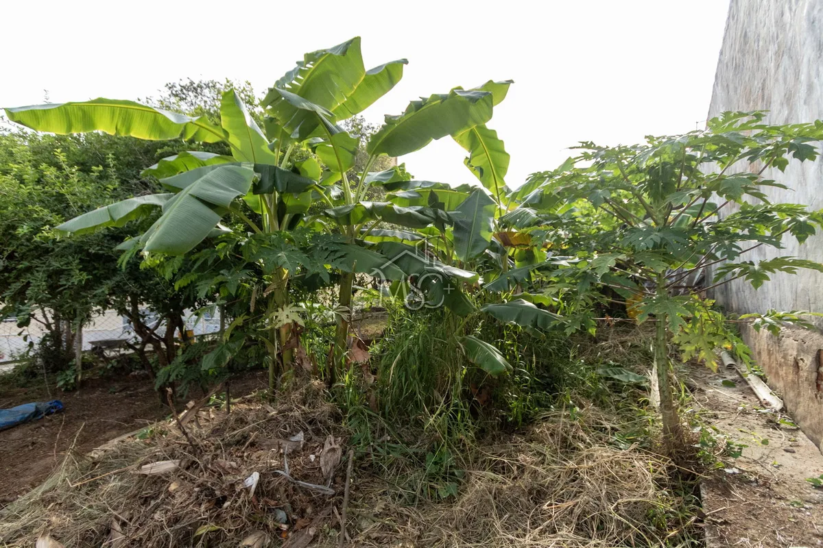 Terreno Vila Barão - Sorocaba - foto 9