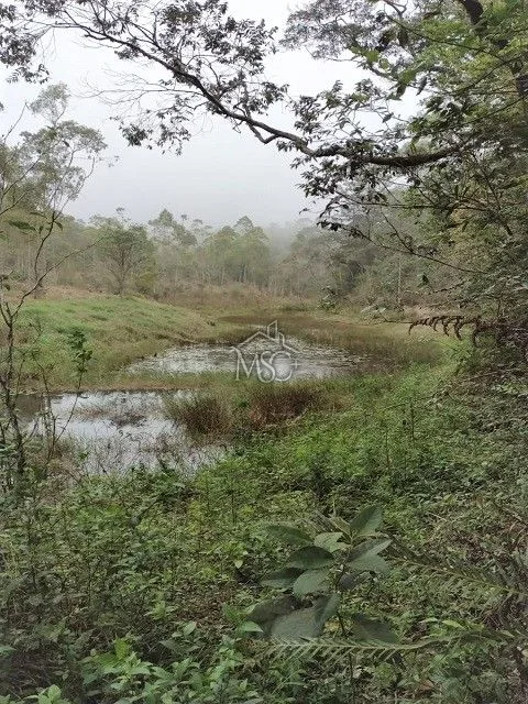 Chácara 4 quartos Do Turvo - Tapiraí - foto 2