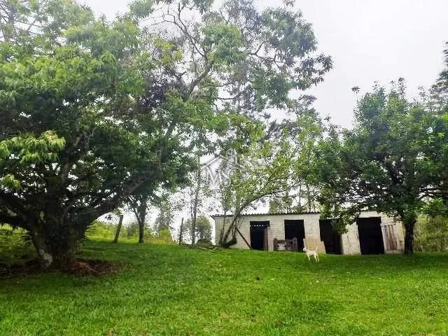 Chácara 4 quartos Do Turvo - Tapiraí - foto 5