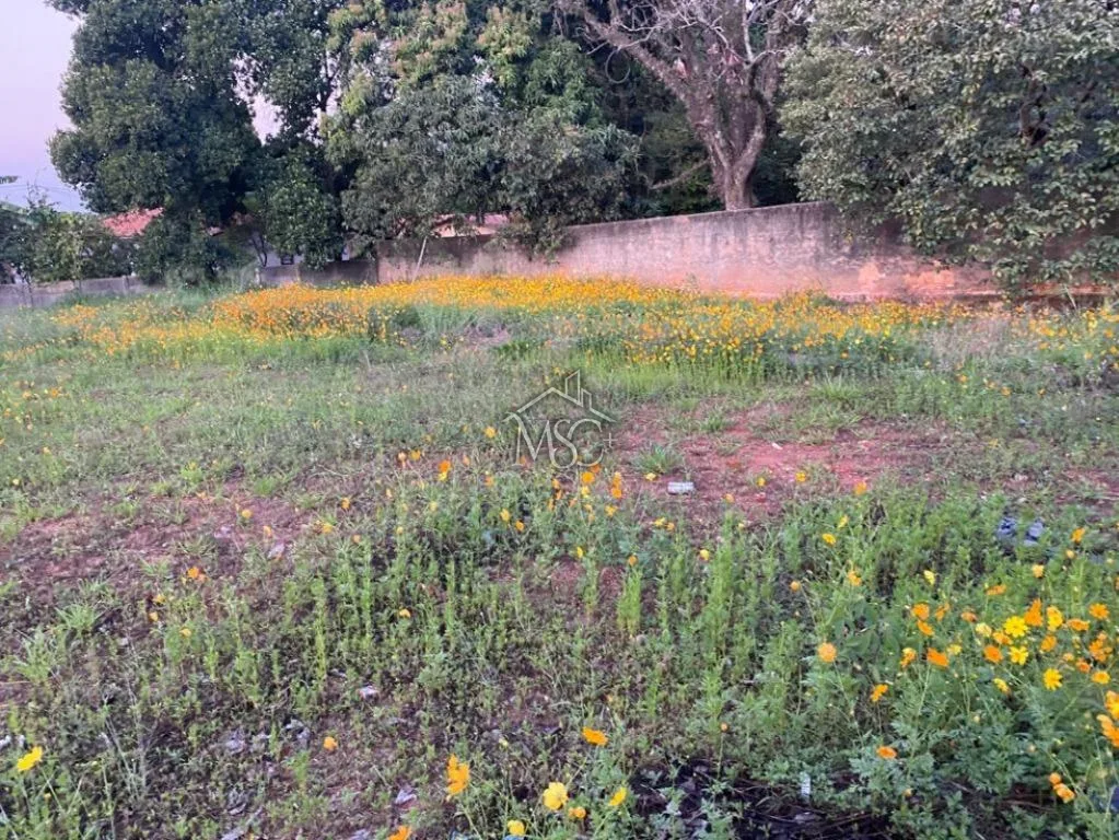 Terreno Éden - Sorocaba - foto 5